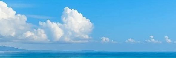 TRẦN ANH TUẤN banner