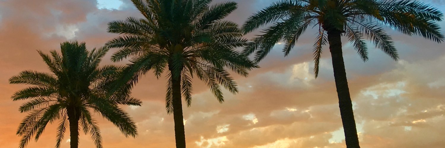 solomong's profile banner image