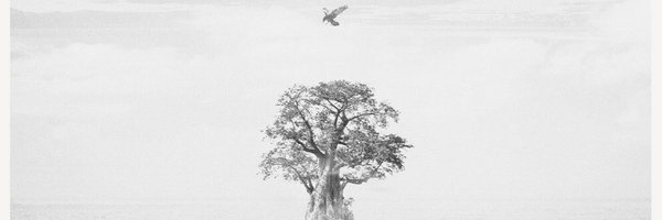 mi banner