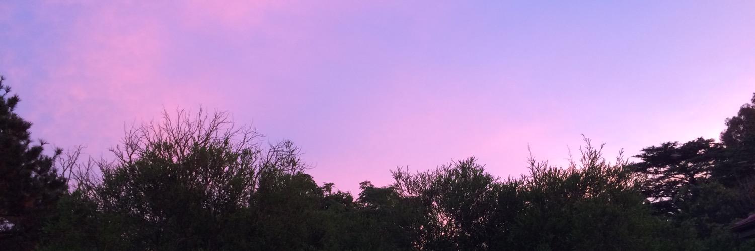 sleepinginapear's profile banner image