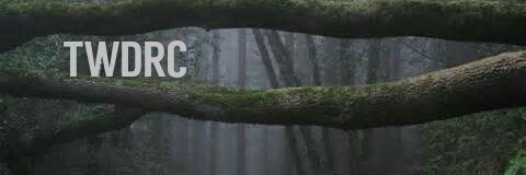 TWDRecreated's profile banner image