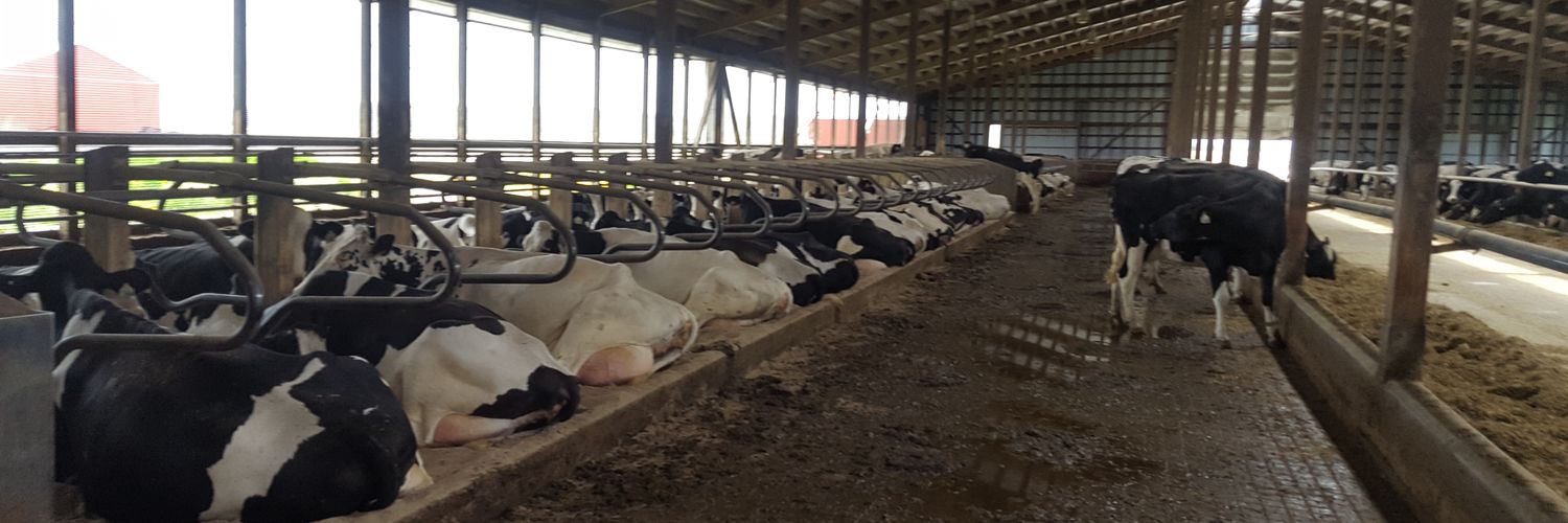 Keith Schweitzer banner