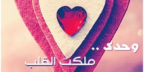 maherrr20201's profile banner image