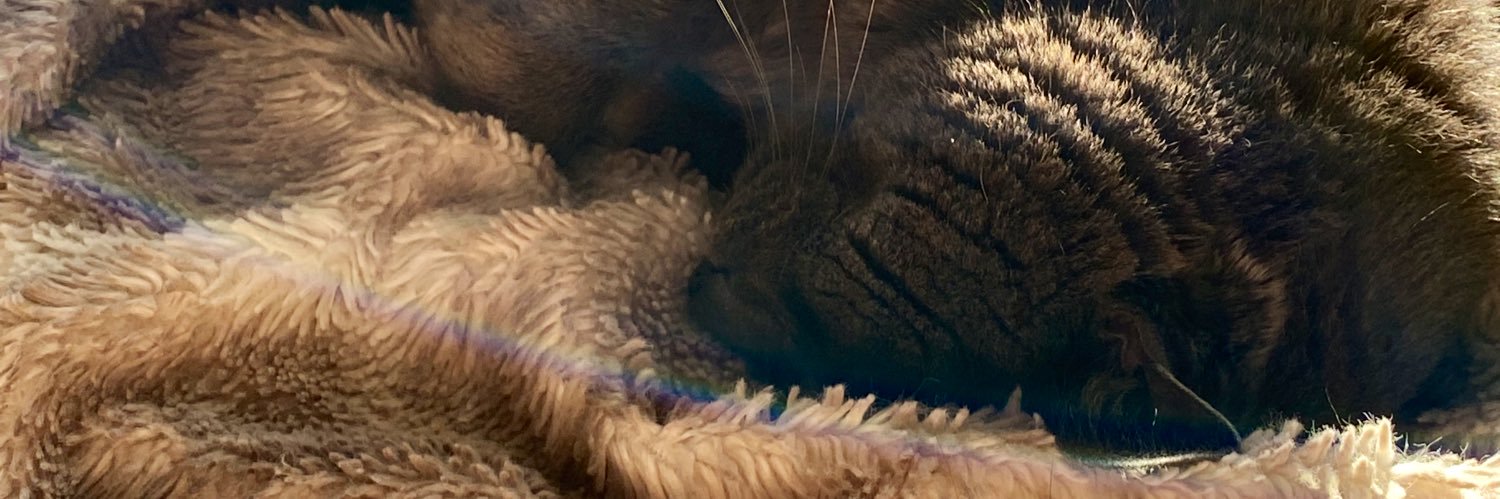 MacKenzieKell_'s profile banner image