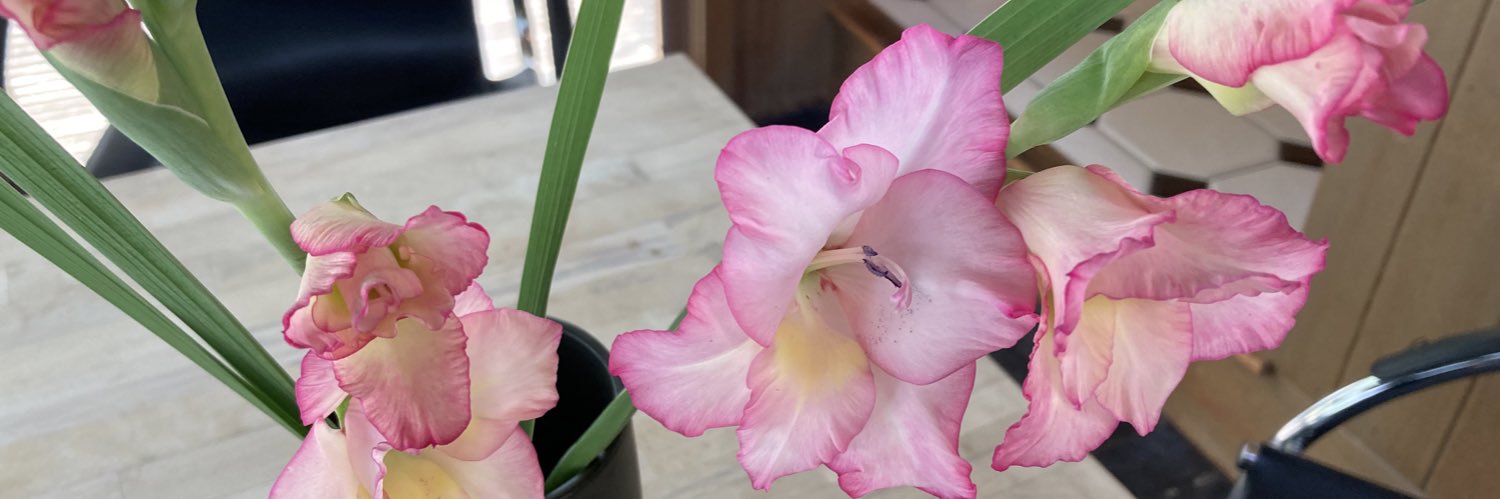 Klaus Theopold banner