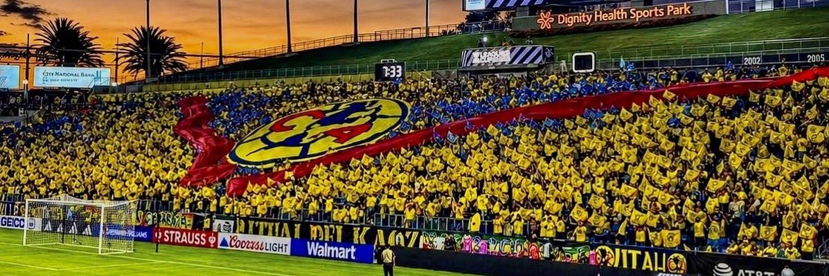 torobet24's profile banner image