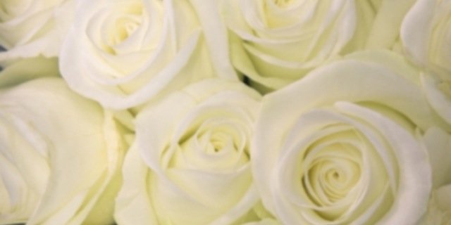 xEmmsX's profile banner image