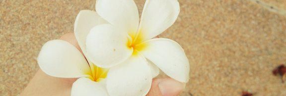 ぺ banner