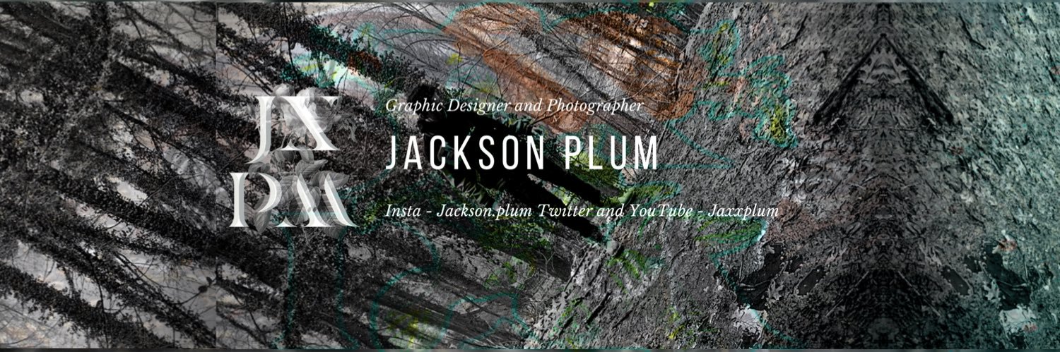 Jackson Plum (@jaxxplum) / Posts / X