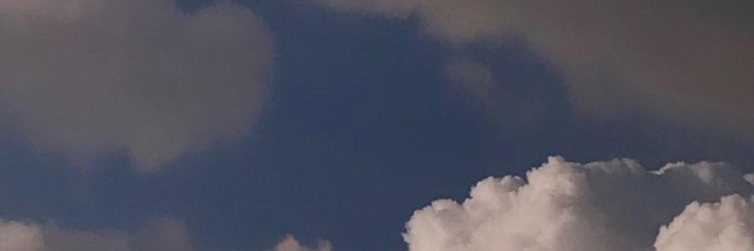 ummuser_okta's profile banner image