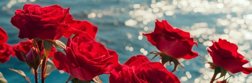 JetDOINK's profile banner image