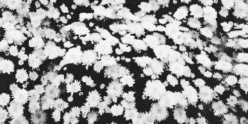 JadeRPGM's profile banner image