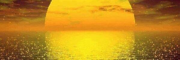 MarieFrank2's profile banner image