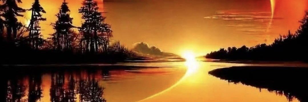 tdehocam63's profile banner image