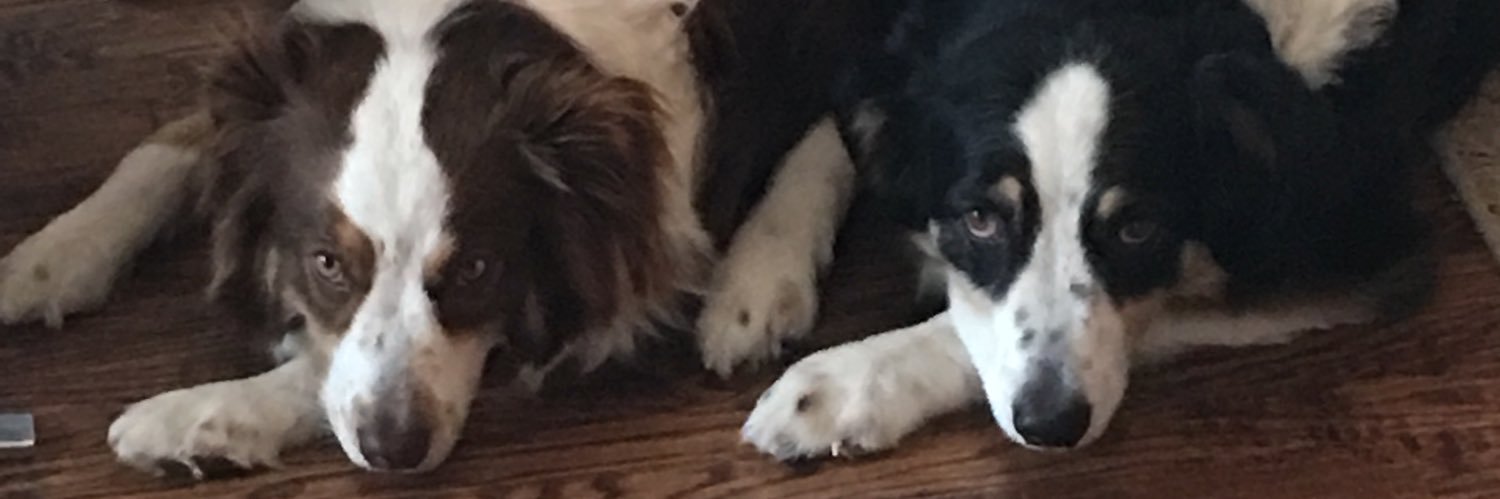MereTays2's profile banner image