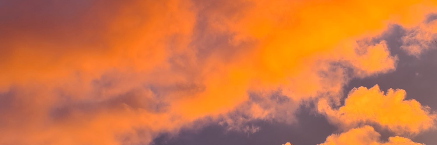 brithoward's profile banner image