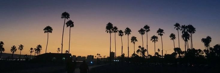 Alvi1_'s profile banner image