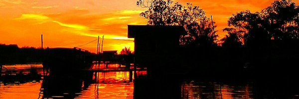 rendibolot Profile Banner