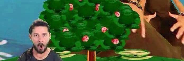 StarfishCommand's profile banner image