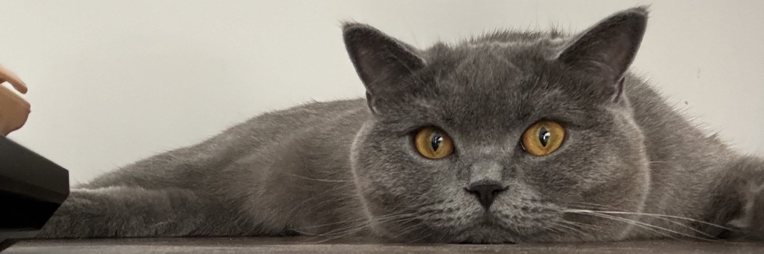 secillcay's profile banner image