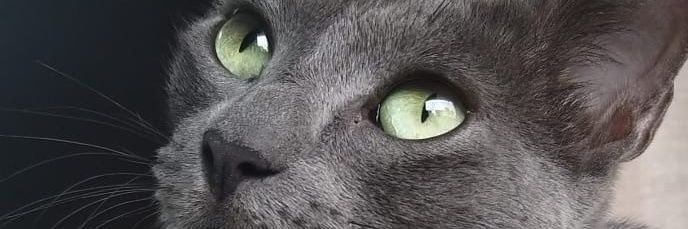 mmarisolech's profile banner image