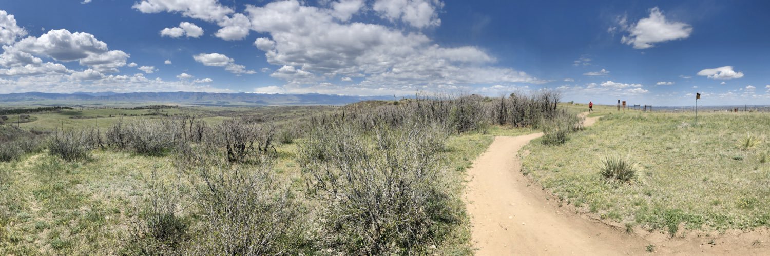 Danielle Cornetta banner