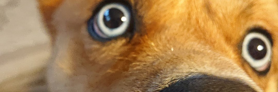 WATA_Ninja's profile banner image