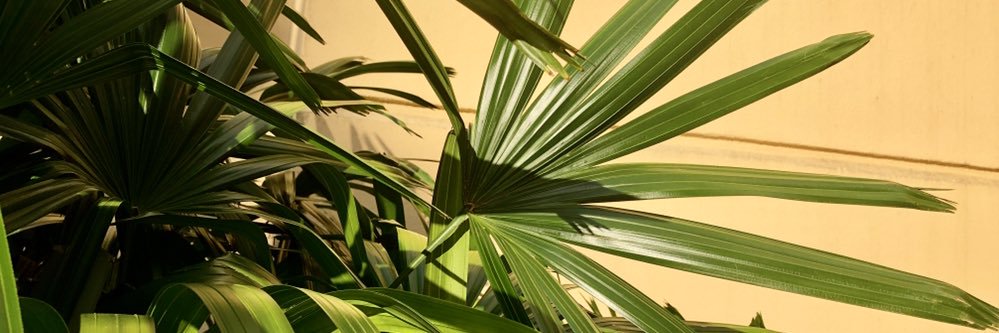 melaniecolette's profile banner image