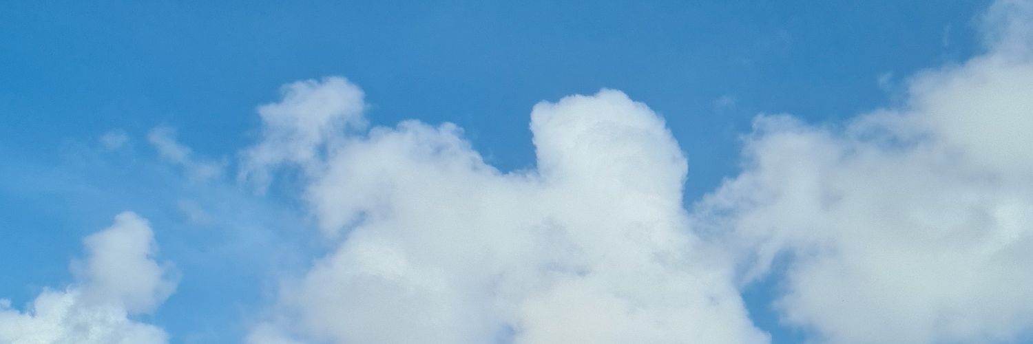 lapasknotfukup's profile banner image