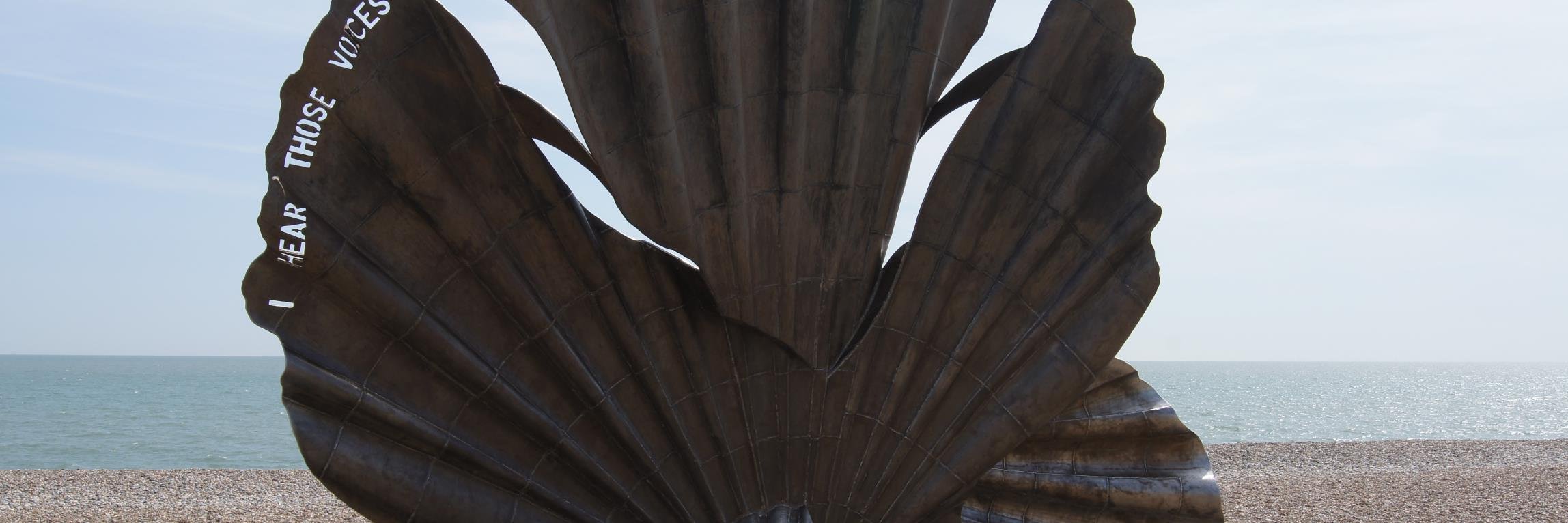 Lynn Orr 💙 banner