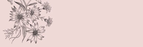 Taylor Cheney banner