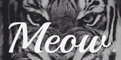 _DelfinaRDS's profile banner image
