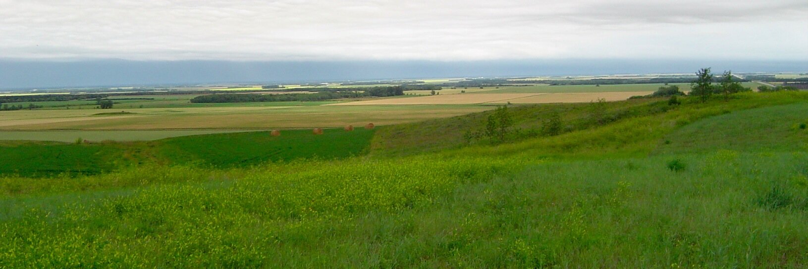 ludahanks's profile banner image