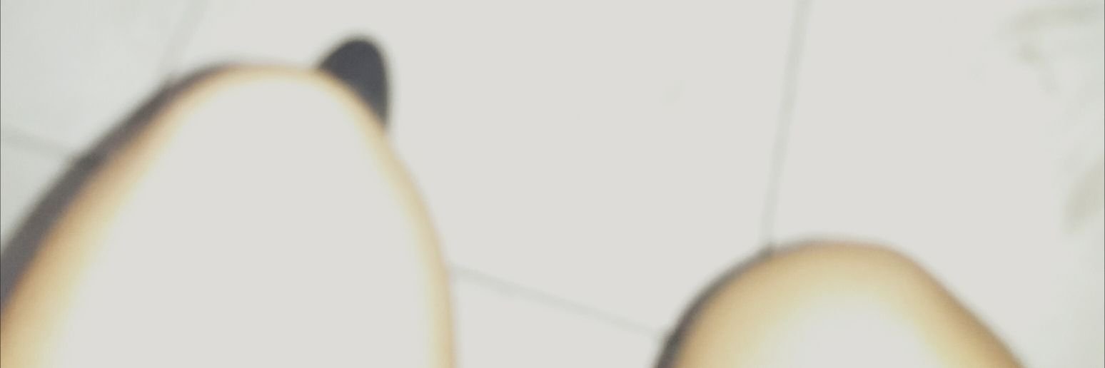 aubreybreey's profile banner image
