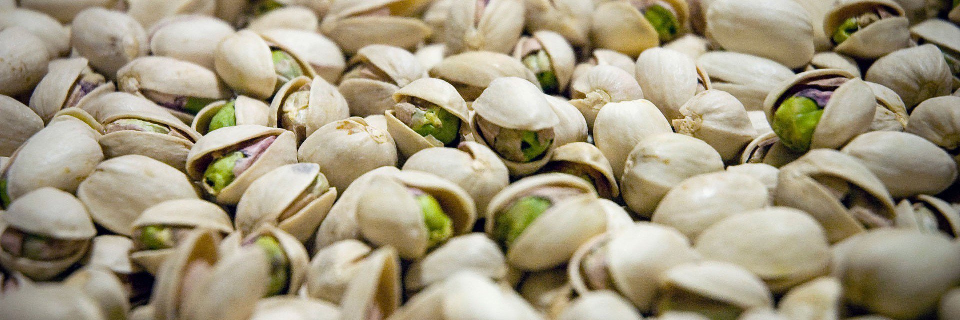 PistachioTheNut's profile banner image