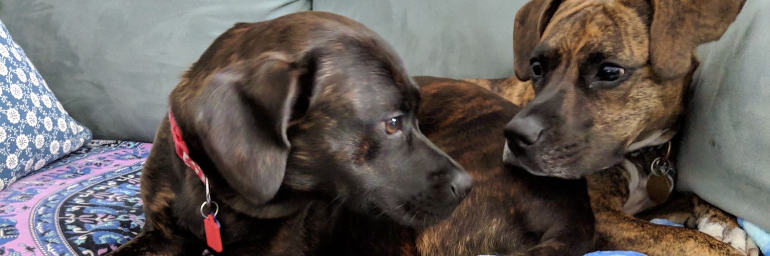 cassyhii's profile banner image