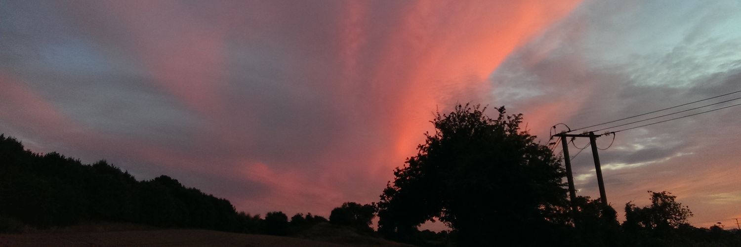 Michael Osborne banner