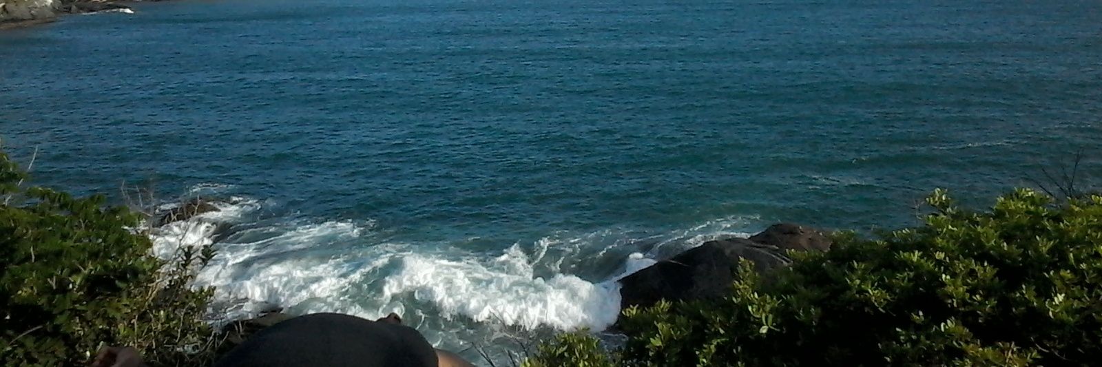 douglasjunior91's profile banner image