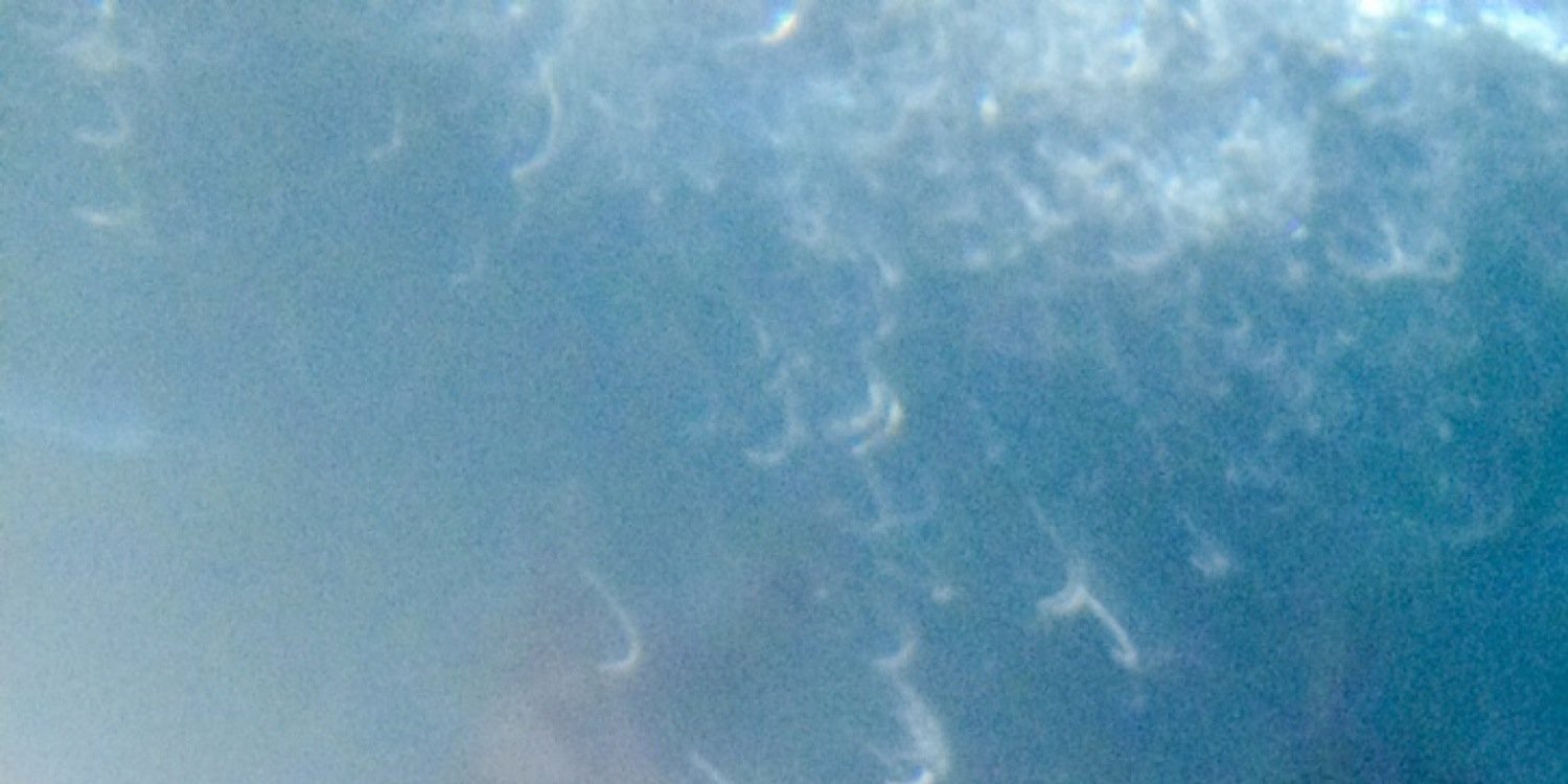 PalmsKnife's profile banner image