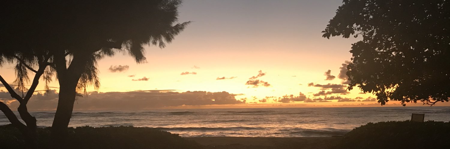lisaredhead5's profile banner image