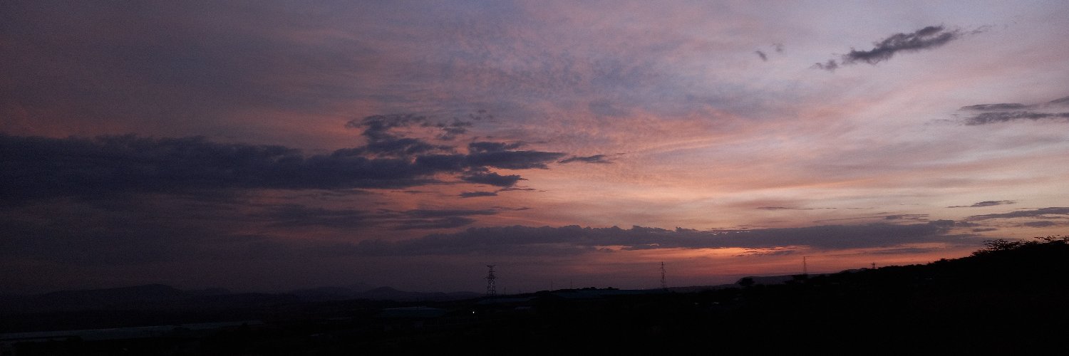 r0exe's profile banner image