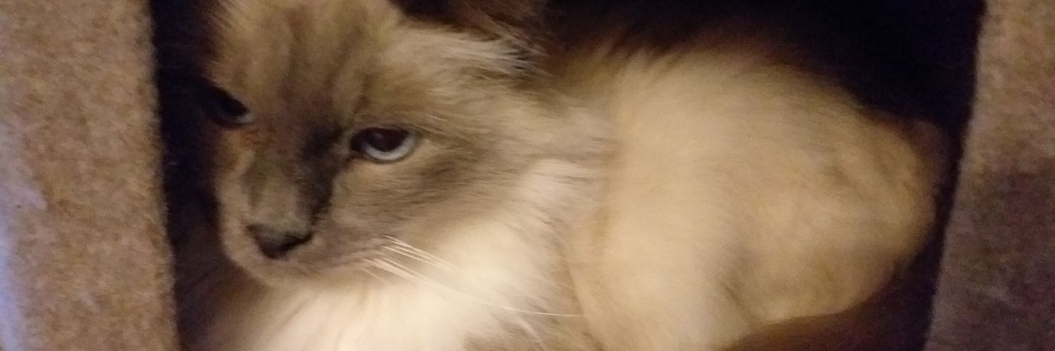 Sylvie 🇨🇵🇨🇵🇨🇵Ⓜ⚜️ banner