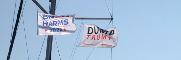 J. Steven Albright banner