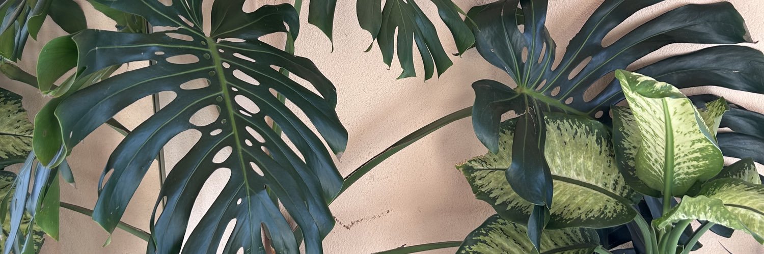 melfariass's profile banner image