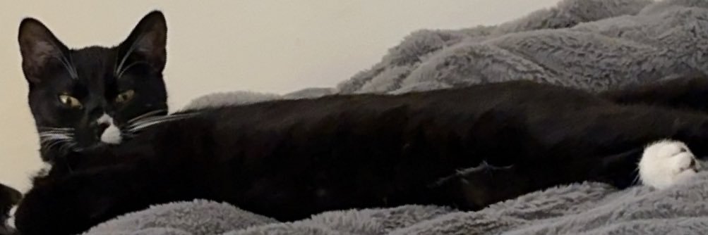 ElnazRahb's profile banner image