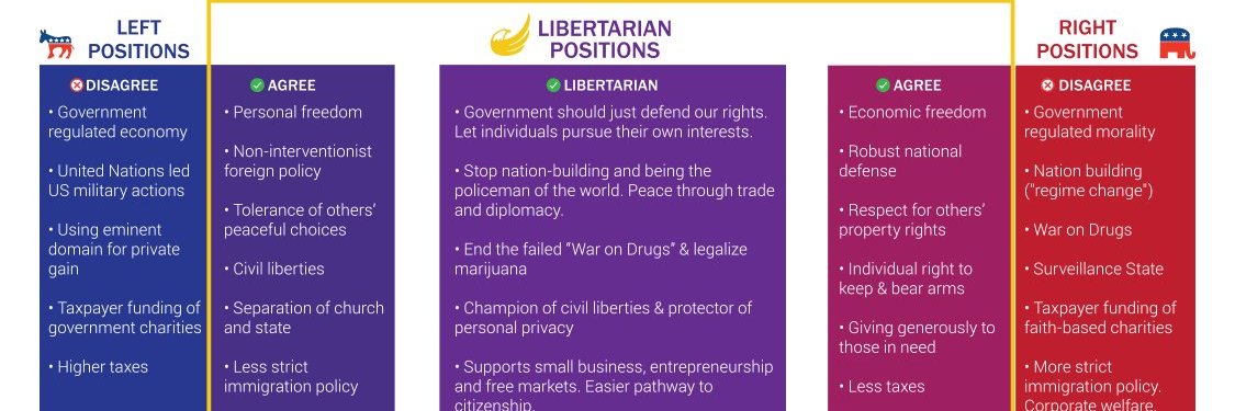Libertarian Party of Northern Virginia banner