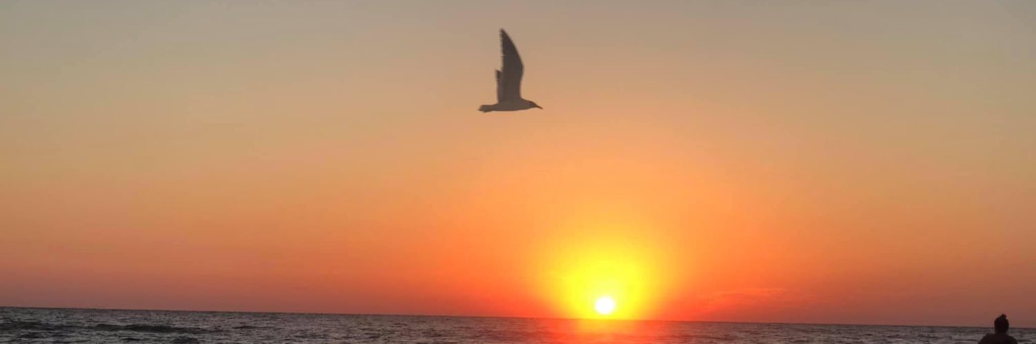 SusanJHopkins's profile banner image