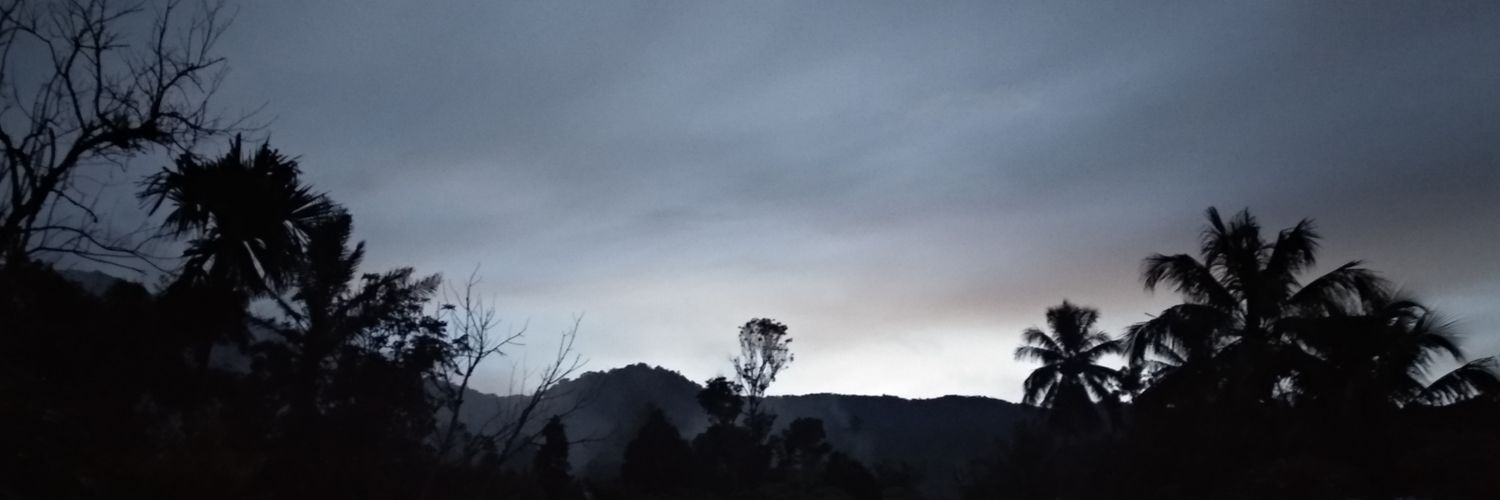 hidjau's profile banner image