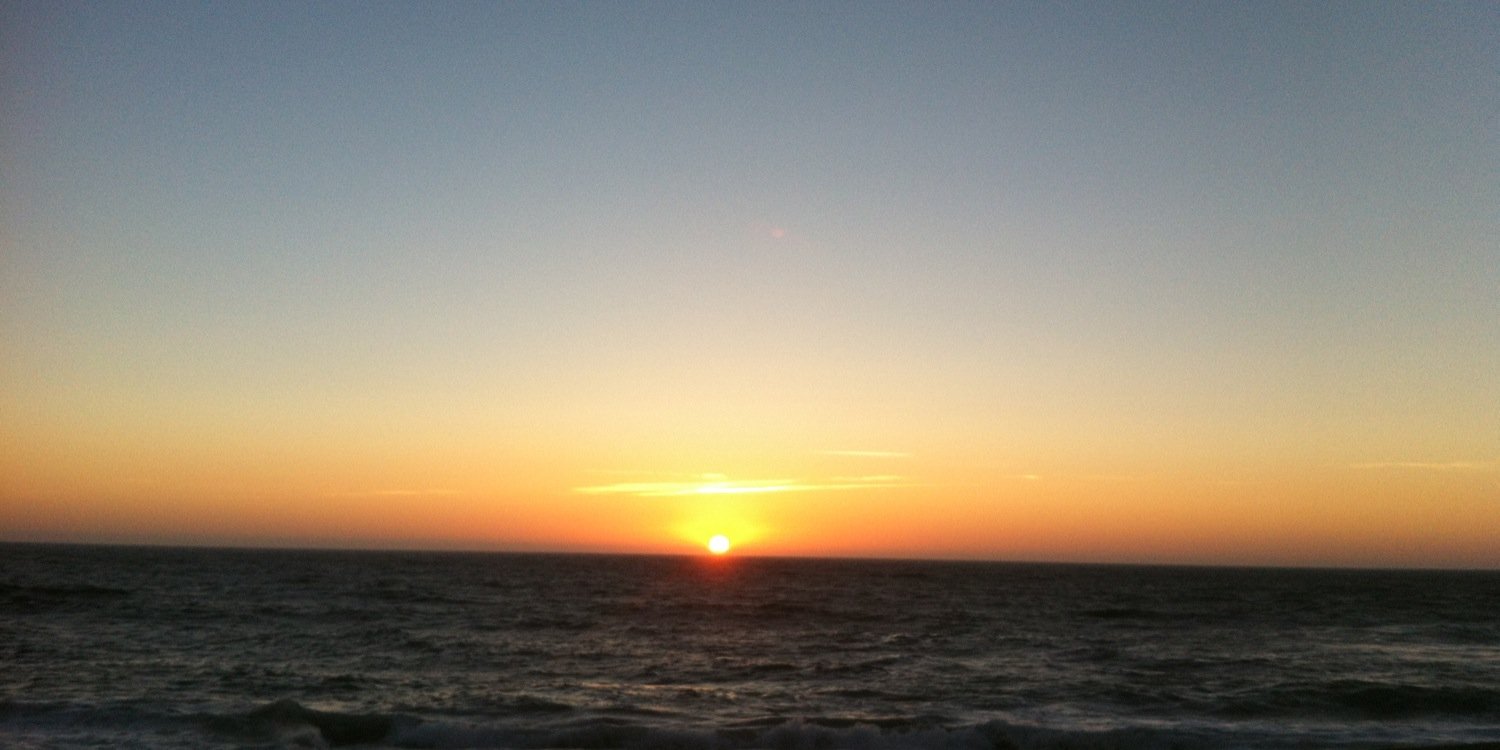 Mrs. Carrusca banner