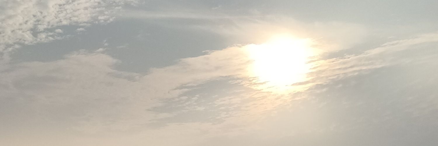 trunaveen's profile banner image